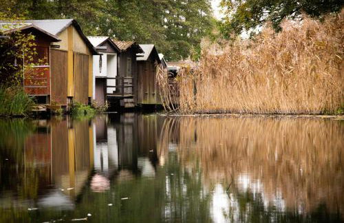 Südkugel - Kugelhaus in ökologischer Bauweise am Tollensesee - Foto 26