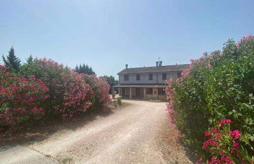 Quattroventi - Foto 18