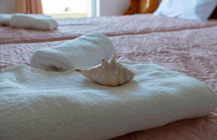 Davis Studios & Apartments - Ήλια Βόρειας Εύβοιας - 1' από τη θάλασσα - Foto 23