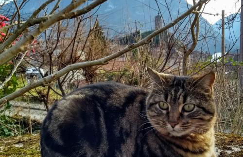 Le Nopal Bleu - Foto 32