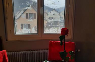 Gîte les chiwawas d'Alsace - Foto 7