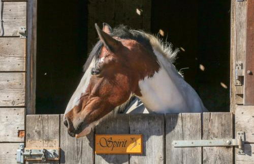 The Old Cart House - Foto 23