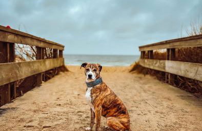 Ferienwohnung Sommerwind - Foto 21