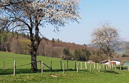 Ferienhaus "Am Gehre" - Foto 30