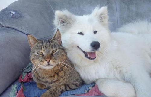 Pitznerhof - Foto 51