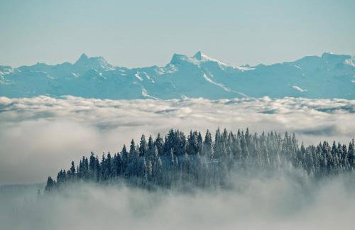 Schwarzwaldglück Loft - Foto 42