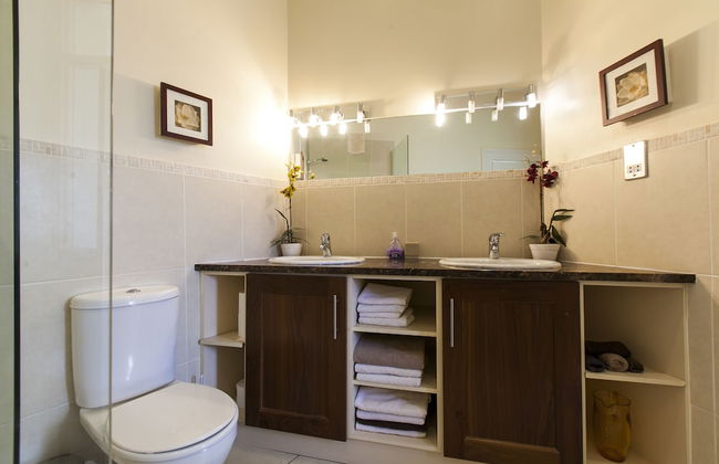 Dublin Vacation Rentals - Photo 46