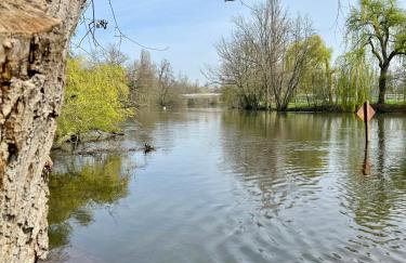 Escale cosy a Strasbourg au fil de l eau - Foto 25