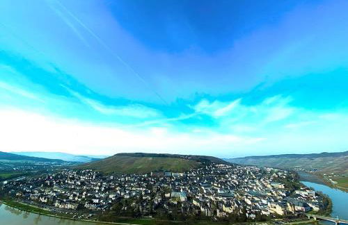 Wohnen direkt an Mosel und Goldbach - Foto 34