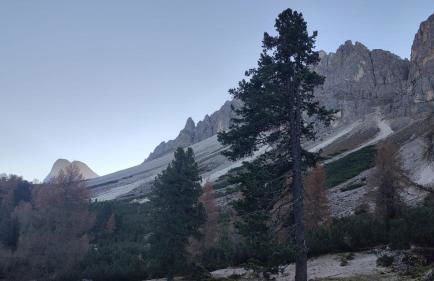 Dolomiten Home - Photo 9