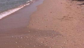 A due passi dal Mare - Photo 2