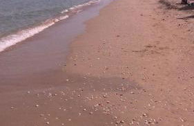 A due passi dal Mare - Foto 2