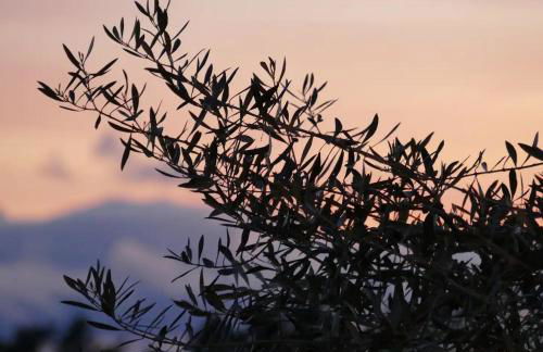 Casa e piscina privada - Photo 16