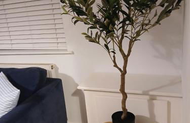 Modern Coastal Haven Family and Dog friendly - Foto 22