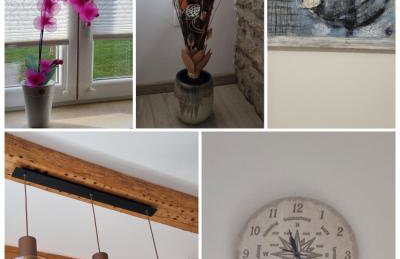 Apartman Orhideja - Foto 8