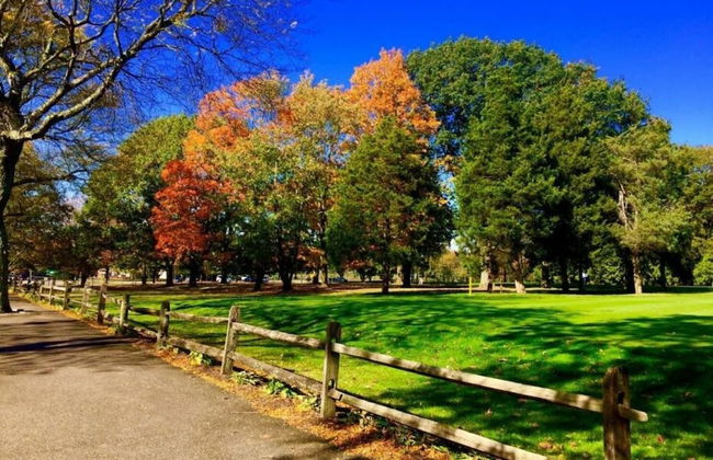 Cheerful & Beautiful 3-Bedroom Ranch - Photo 54