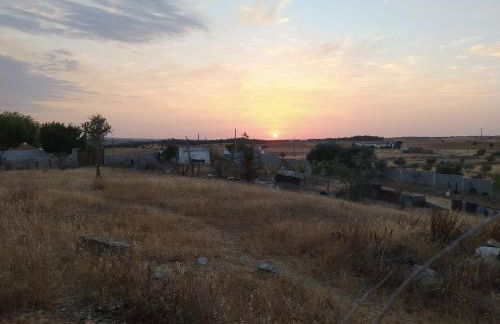 Casa da Oliveira - Foto 31