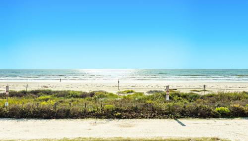 Seas the Day - Foto 5