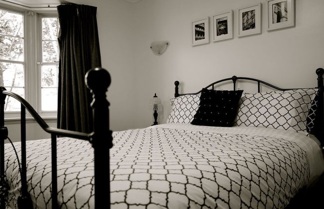 Leura Camellias - Photo 2