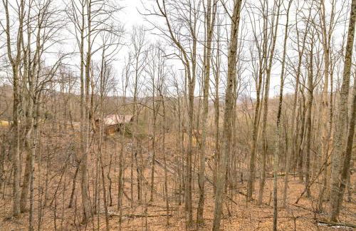 High Country Haven - Near Boone & Blowing Rock - Foto 44