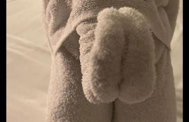 Highcroft House - Foto 50