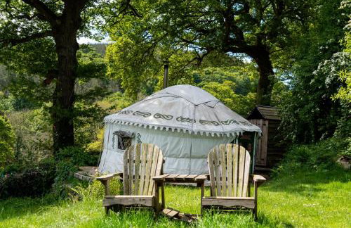 Hapus Yurt - Two Beautiful Yurts and Barn Cottage - Foto 17