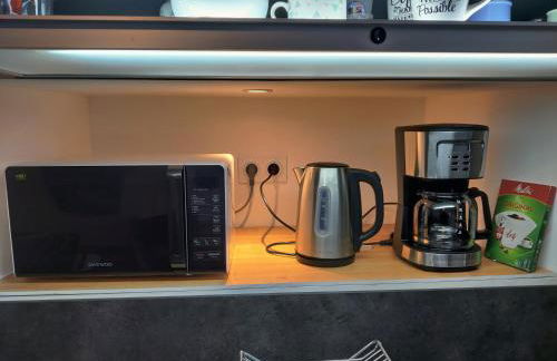 Appartement T2 "JUNGLE" Centre Ville de VITRÉ au calme coté cour - Foto 12