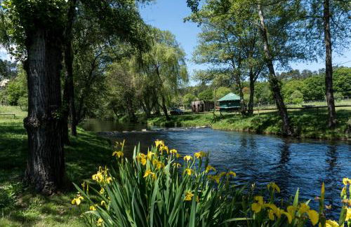 Casa Guarda Rios - São Pedro do Sul - Foto 34