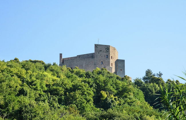 Cottage in Montefiore Near Forest and Beach - Photo 40