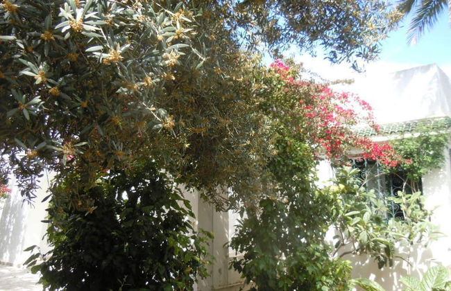 House With Garden Wala - Foto 11