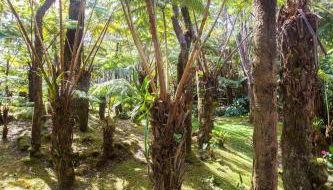 Hale Mauna Loa Upper Level with shared Hot Tub - Photo 3
