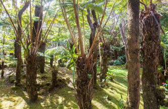 Hale Mauna Loa Upper Level with shared Hot Tub - Foto 3