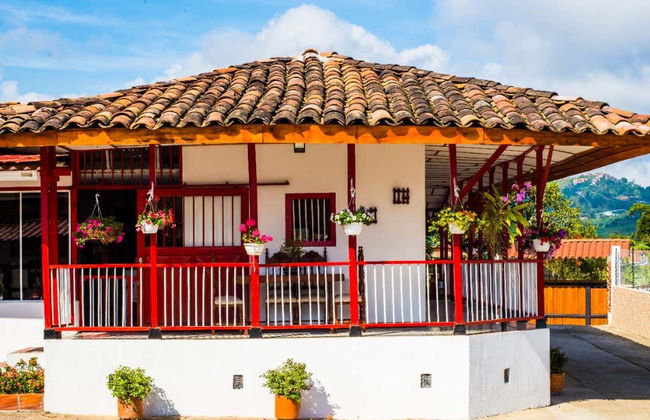 Tour das orquídeas - Foto 1