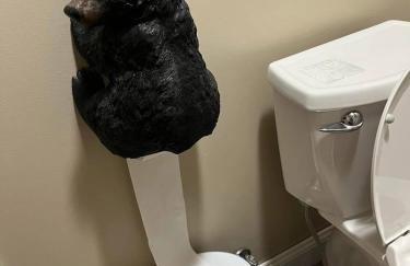 Serene Cabin between Fayetteville& Summerville WV - Foto 61