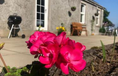 Ballyconnelly Cottages, Galgorm area - Foto 14