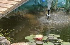 Ferienwohnung Anke Günther Dach - Foto 8