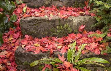 The Annexe @Granny’s Apple Lodge - Foto 22