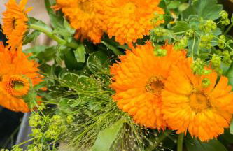 Ysgubor Wennol - Foto 40