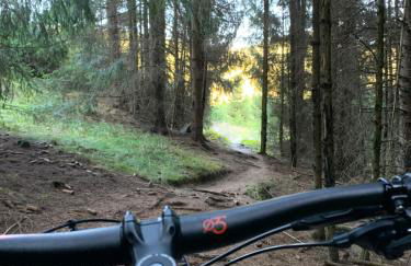 Rennsteig-Pension Trautwein - Foto 50