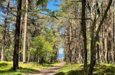 Apartament Kaszmirowy - Sztutowo - Foto 14