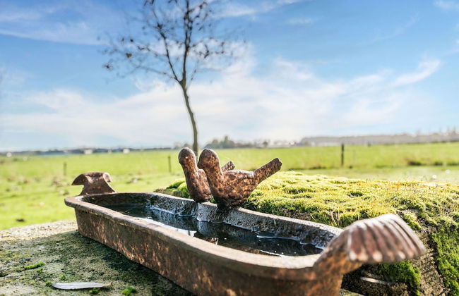 Holiday Home Het Zuidgoed With Garden - Foto 29