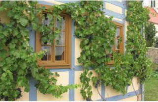 In der alten Weinstube - Photo 6