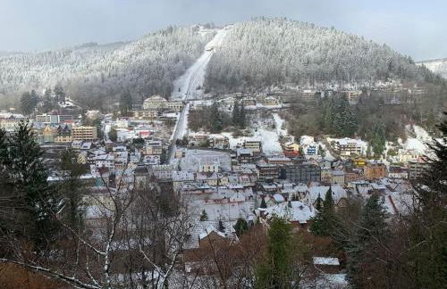 Gemütliches Einzimmer-Apartment 33 - Foto 10