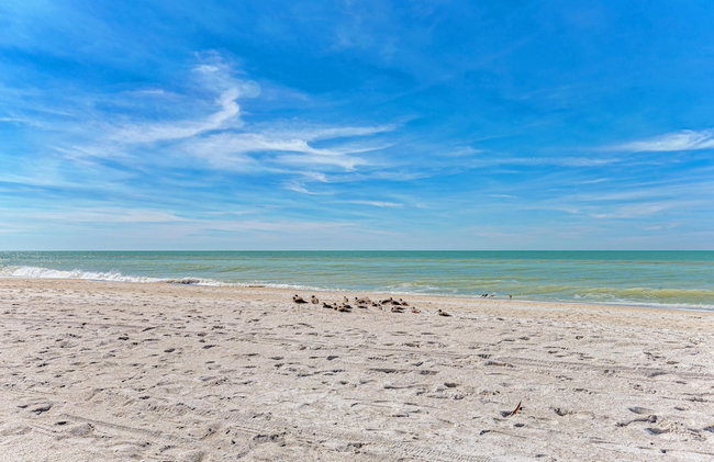 Anna Maria Island Beach Waves - Foto 53