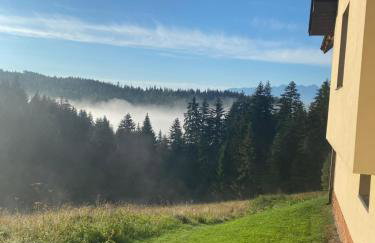 Apartament w górach Gorce - Foto 14