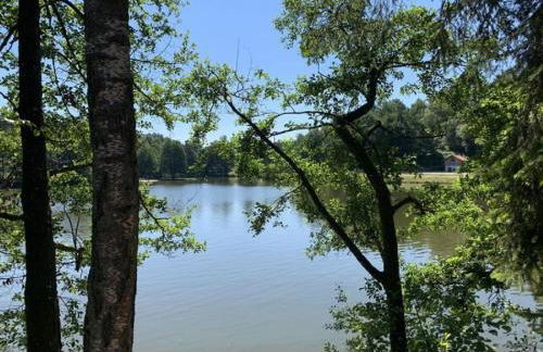 Ferienland Sonnenwald Studio 50 - Foto 24