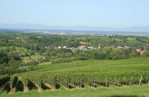 Odas Feriendomizil Europapark - Foto 24