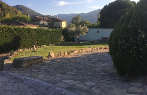 Finca 13 Ramas - Photo 9