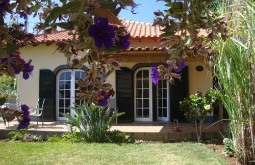 Blooming Botanic Houses - Foto 11