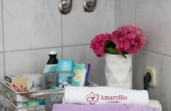 Amaryllis - Photo 38